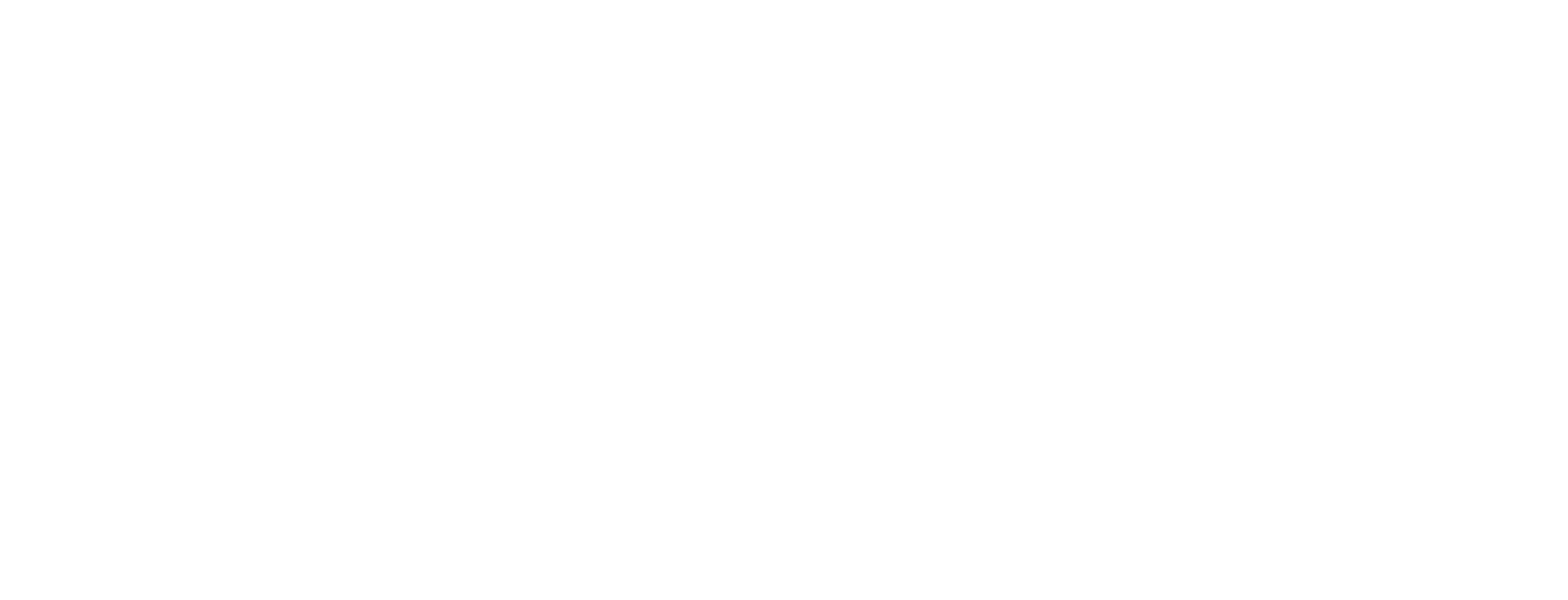 Flyng Air LLC-FZ